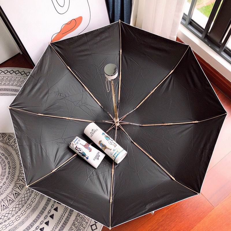 Hermes Umbrella E (66)